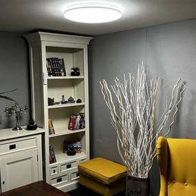 LED Stmievateľné stropné svietidlo  LED/48W/230V 2700-6500K Wi-Fi Tuya + DO