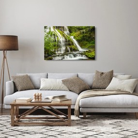 Obraz - Vodopád, Wind River Valley (90x60 cm)