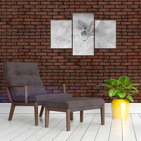 Obraz - Sova v poli (90x60 cm)