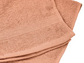 Uterák BASIC MALÝ marhuľový 40 x 60 cm, 100% bavlna