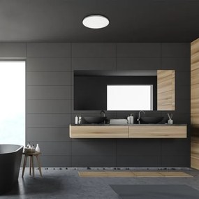 Rabalux - LED kúpeľňové stropné svietidlo LED/20W/230V IP44