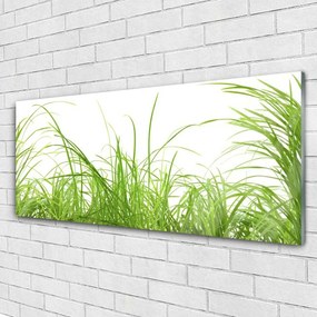 Obraz plexi Tráva rastlina príroda 125x50 cm