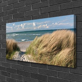 Obraz Canvas Pláž more tráva krajina 140x70 cm