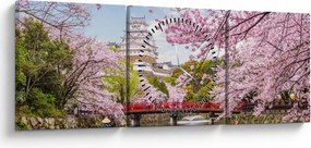 Obraz japonskej čerešne (s hodinami) (90x30 cm)