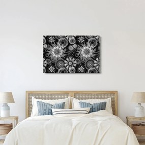 Obraz - Čiernobiele bodliaky (90x60 cm)