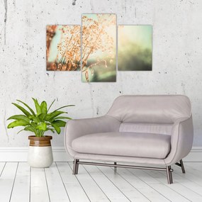 Obraz - Rastliny po daždi (90x60 cm)