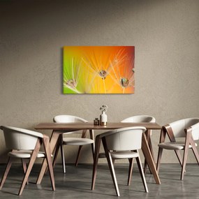 Obraz kvapiek na rastline (90x60 cm)