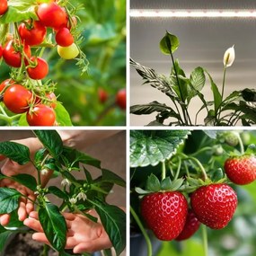 LED Podlinkové svietidlo na pestovanie rastlín GROWLY LED/15W/230W