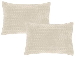 Obliečky na vankúše v súprave 2 ks 50x75 cm Attica Velvet Embroidered – Bianca