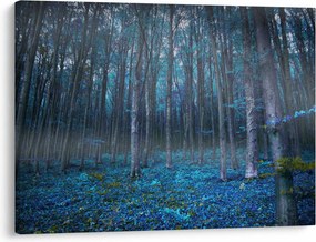 Obraz - Magický les (70x50 cm)