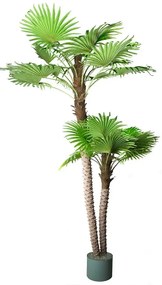 Palm Arenga Areka 250cm