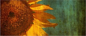 Obraz - Slnečnica (120x50 cm)