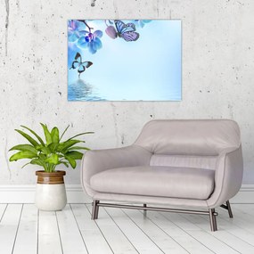 Sklenený obraz - Motýľ na kvetoch orchidey, modrý (70x50 cm)
