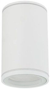 Bodové svietidlo FLARE 1xGU10/10W/230V 10 cm biela