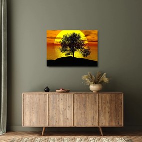 Sklenený obraz siluety stromu (70x50 cm)
