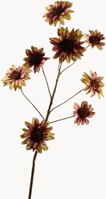 Rastlinná dekorácia Sunflower