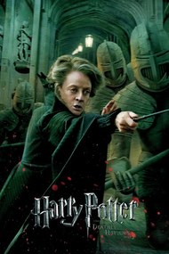 Umelecká tlač Harry Potter - Professor McGonagall, (26.7 x 40 cm)