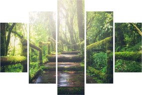 Obraz - drevené schody v lese (150x105 cm)