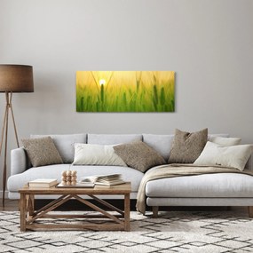 Obraz - Pole s obilím (120x50 cm)