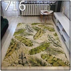 Dekorstudio Moderný koberec GARDEN so vzorom listov 716 Rozmer koberca: 140x190cm