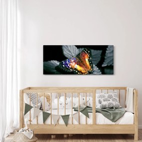 Obraz motýľa (120x50 cm)