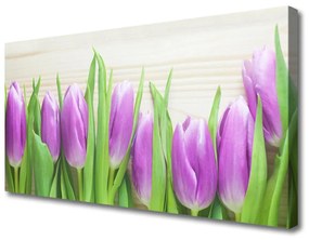 Obraz Canvas Tulipány kvety príroda 140x70 cm