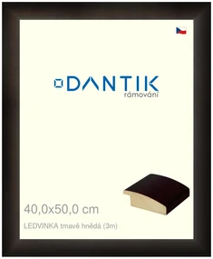 DANTIK rám na obraz 40x50 | LEDVINKA tmavě hnědá (Plexi Čiré)