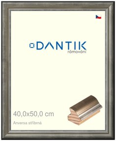 DANTIK rám na obraz 40x50 | ANIVERSA stříbrná (Plexi Čiré)