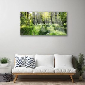 Obraz plexi Les tráva rastlina príroda 100x50 cm