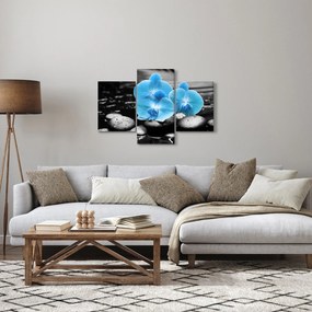 Obraz - Modrá orchidea (90x60 cm)