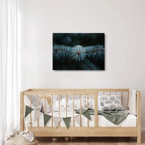 Sklenený obraz vetvičky ihličnatého stromu (70x50 cm)