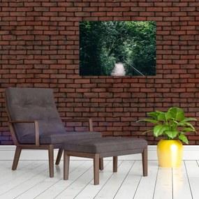 Obraz - Cesta lesom (70x50 cm)