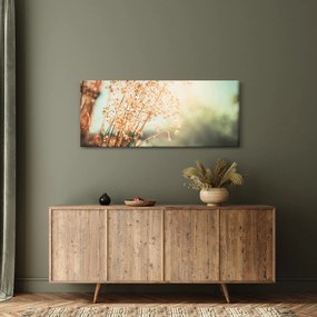 Obraz - Rastliny po daždi (120x50 cm)