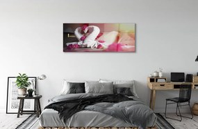 Obraz plexi Uteráky labute kvety 120x60 cm