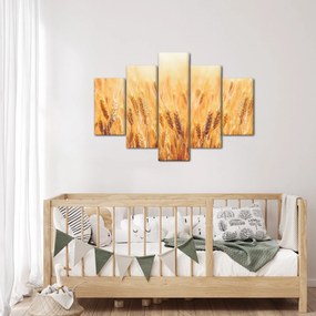 Obraz - pole s obilím (150x105 cm)