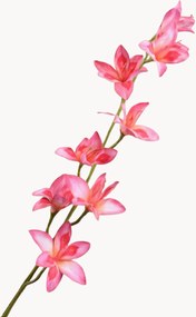 Rastlinné dekorácie Gladiolus, 2 ks