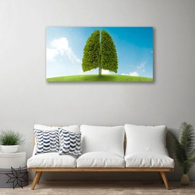Obraz Canvas Tráva strom pľúca príroda 140x70 cm