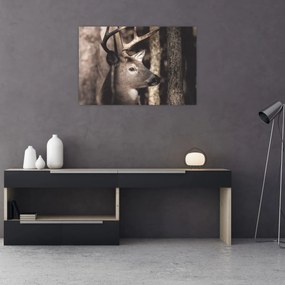 Obraz - Jeleň v lese (90x60 cm)