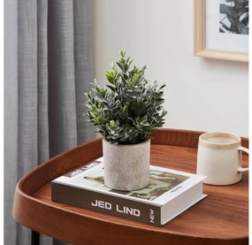 Eglo 428027 - Umelá rastlina v kvetináči CHITOSE 22x16 cm 428027