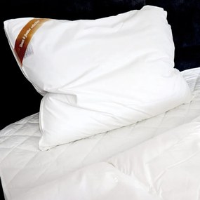 2G Lipov Súprava z peria Down & feather collection - 140x200 / 70x90 cm
