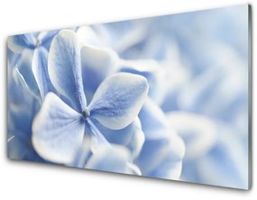Skleneny obraz Kvety plátky príroda 120x60 cm