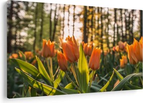 Obraz - kvety tulipánov (90x60 cm)