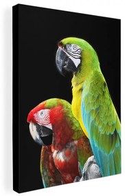 Obraz s motívom papagájov s čiernym pozadím