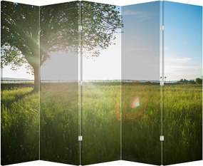 Paraván - Letná lúka (210x170 cm)