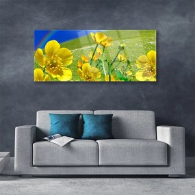 Obraz na akrylátovom skle Lúka kvety dúha príroda 125x50 cm