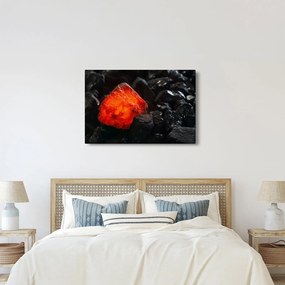 Obraz - Žeravý nerast (90x60 cm)