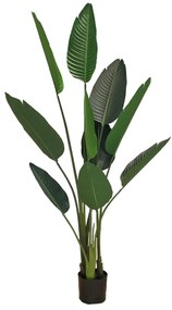 Artificial pot plant Strelicja 155cm