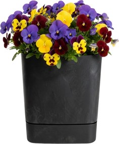 Sada 3 ks květináčů Cubi 16x16/19x19/25x25 cm černý beton