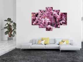 Obraz - Ružová sakura (150x105 cm)