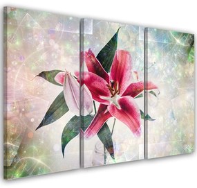 Obraz na plátně třídílný, Pink Lily - 120x80 cm
